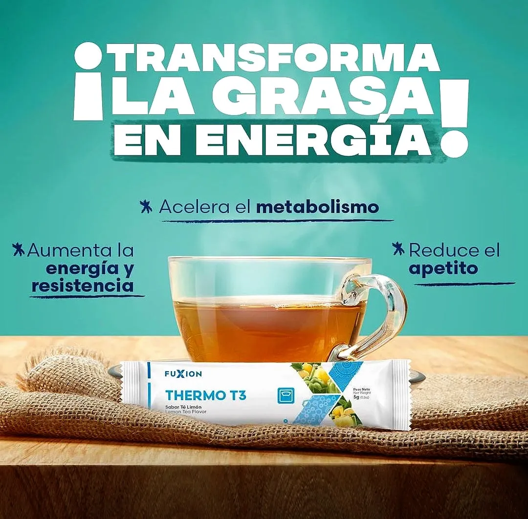 Thermo T3 - Image 4